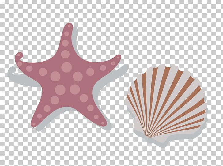 Seashell PNG, Clipart, 3d Computer Graphics, Animals, Art, Christmas Decoration, Decorative Free PNG Download