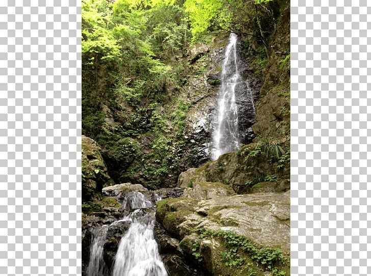 Stream Waterfall Forest Body Of Water Vegetation PNG, Clipart, Body Of Water, Chute, Forest, Hill Station, Jungle Free PNG Download