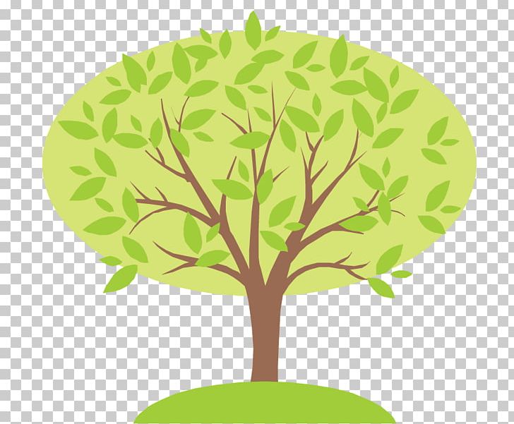 Your Family Tree Genealogy Ancestor PNG, Clipart, Ancestor, Aunt, Branch, Child, Cousin Free PNG Download