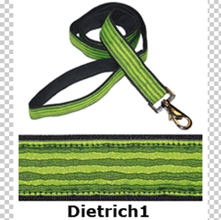 Leash Green Line Font PNG, Clipart, Art, Brand, Dog Leash, Fashion Accessory, Green Free PNG Download