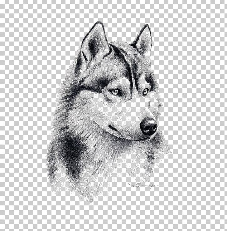 Siberian Husky Puppy Drawing Pencil Art PNG, Clipart, Animal, Animals, Black, Carnivoran, Dog Breed Free PNG Download