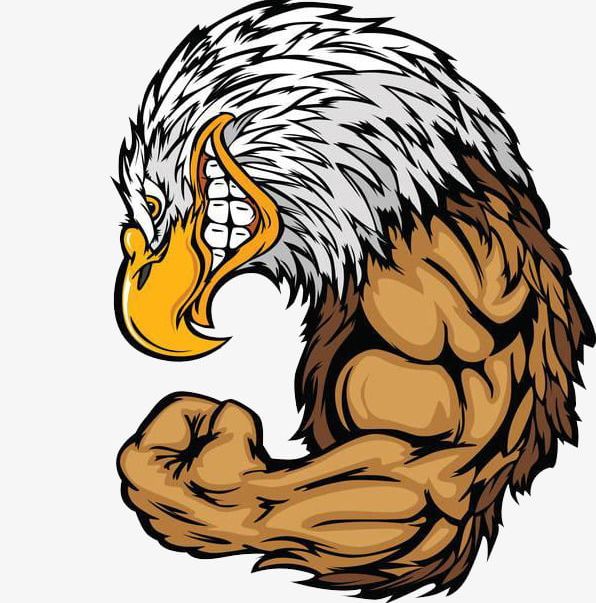 The Eagle Muscle PNG, Clipart, Bald, Big, Big Wings, Birds, Cartoon Free PNG Download
