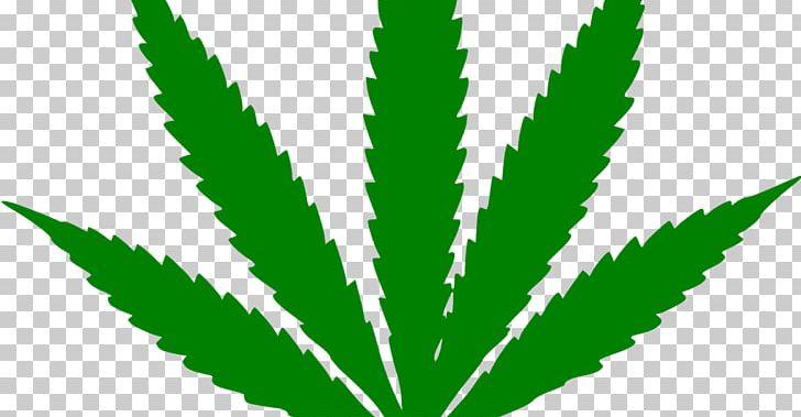 Cannabis Sativa Hemp Cannabis Cultivation Marijuana PNG, Clipart, Autoflowering Cannabis, Cannabis, Cannabis Cultivation, Cannabis Sativa, Cannabis Smoking Free PNG Download
