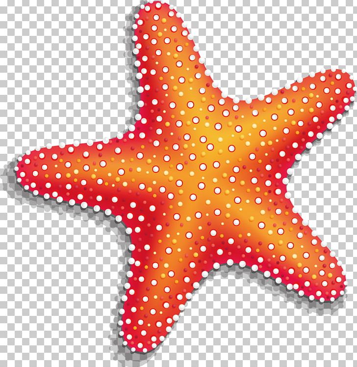 Starfish PNG, Clipart, Albom, Animals, Biological, Download, Drawing Free PNG Download