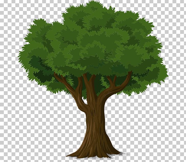 Tree Trunk Drawing Snag Branch PNG, Clipart, Arborist, Bark, Branch, Drawing, Flowerpot Free PNG Download