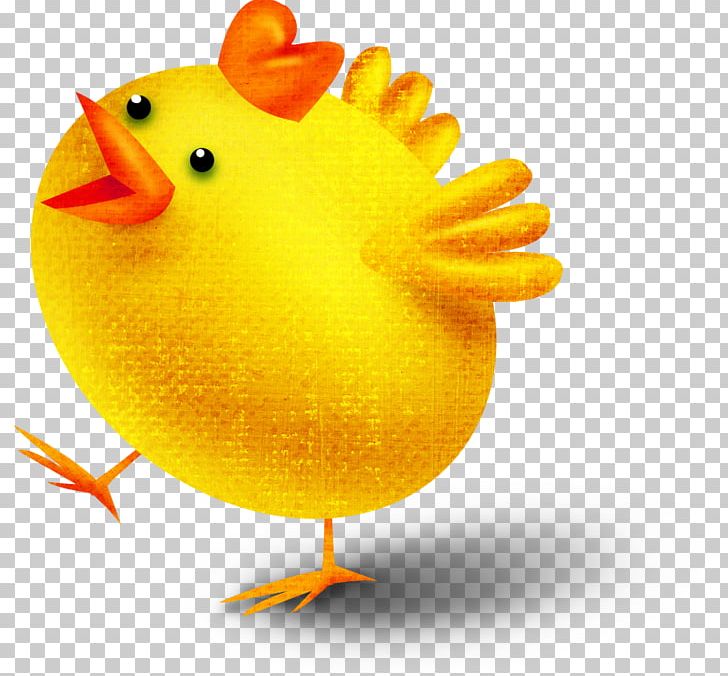 Chicken Kifaranga Easter PNG, Clipart, Animals, Beak, Bird, Chicken, Chicken Coop Free PNG Download