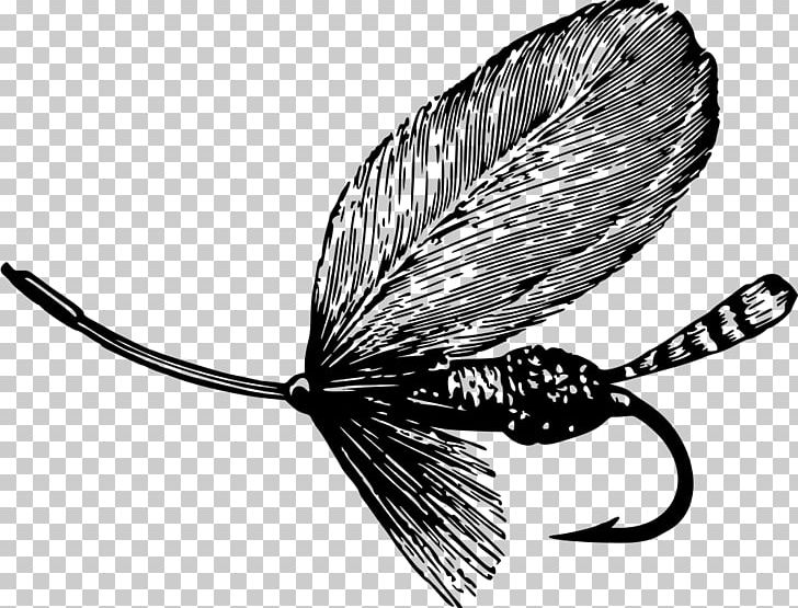 Fishing Baits & Lures Plug Topwater Fishing Lure PNG, Clipart, Angling, Bait, Black And White, Drawing, Fish Free PNG Download