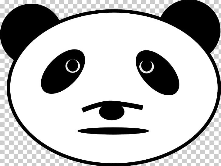 Giant Panda American Black Bear Red Panda PNG, Clipart, American Black Bear, Animals, Bear, Black, Black And White Free PNG Download