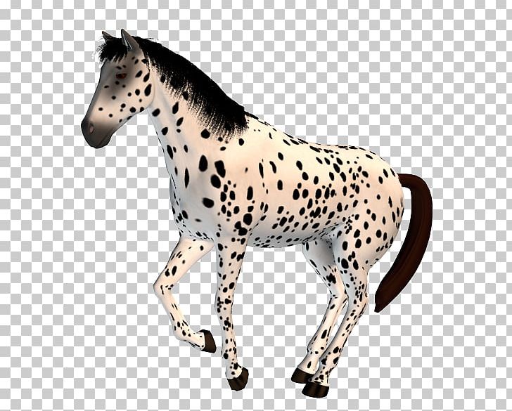 Mustang Stallion Mare Pony Halter PNG, Clipart, Animal, Animal Figure, Halter, Horse, Horse Cartoon Free PNG Download