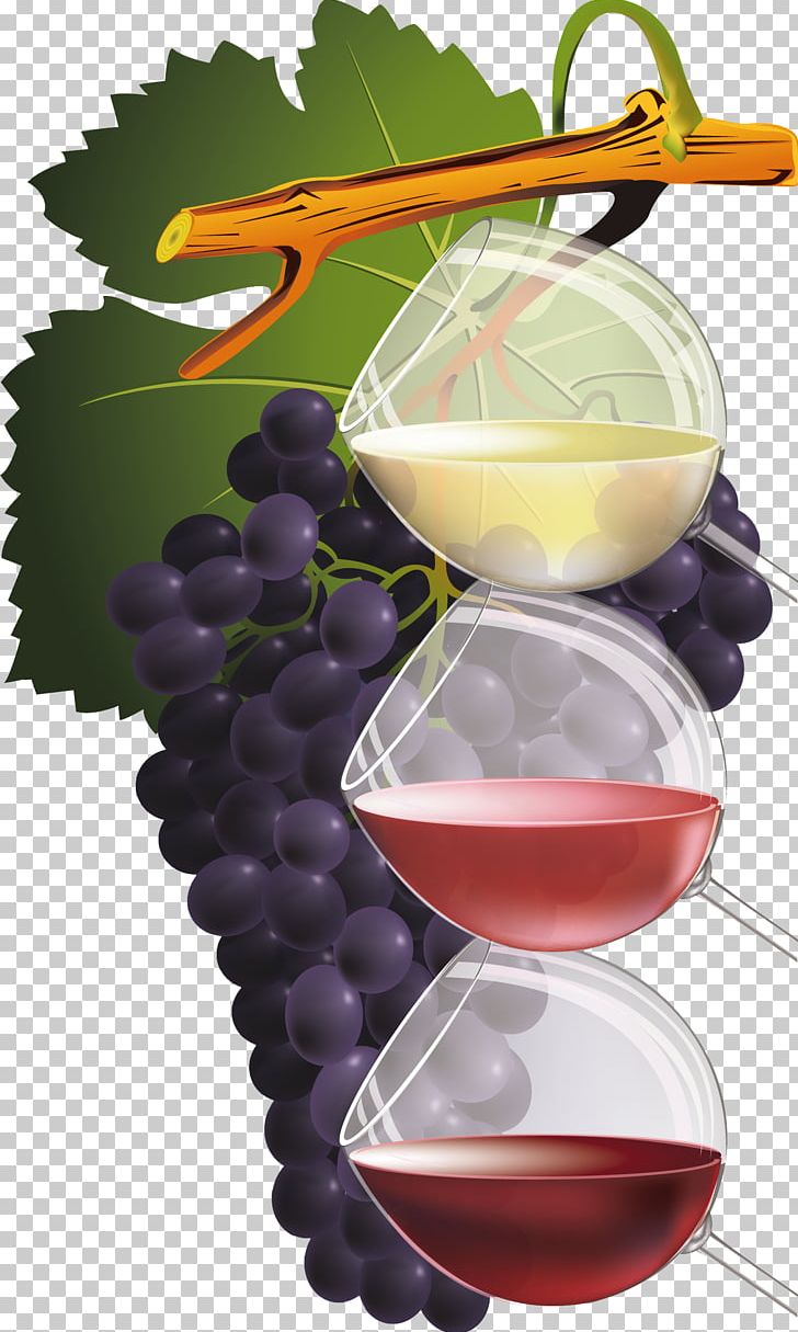 Red Wine Common Grape Vine PNG, Clipart, Bottle, Common Grape Vine, Drawing, Drink, Drinkware Free PNG Download