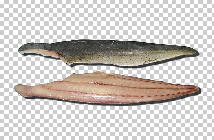 Salmon Fish Products 09777 Oily Fish Capelin PNG, Clipart, 09777, Animal Source Foods, Capelin, Fish, Fish Products Free PNG Download