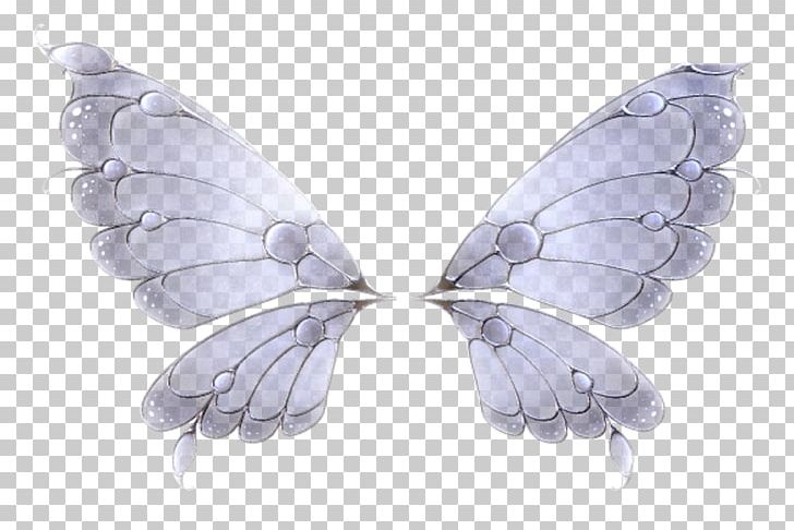 Butterfly Wing Feather Insect PNG, Clipart, Butterflies And Moths, Butterfly, Fantasy, Feather, Insect Free PNG Download