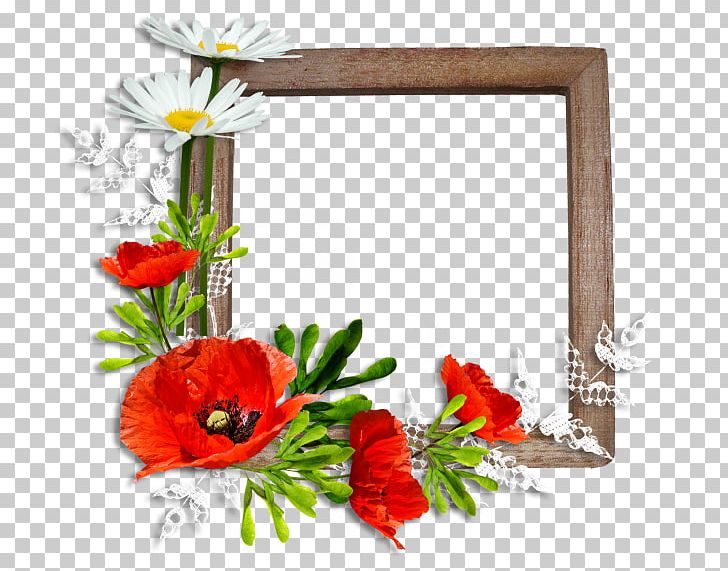 Frames Poppy Flower PNG, Clipart, Color, Cut Flowers, Drawing, Flora, Floral Design Free PNG Download