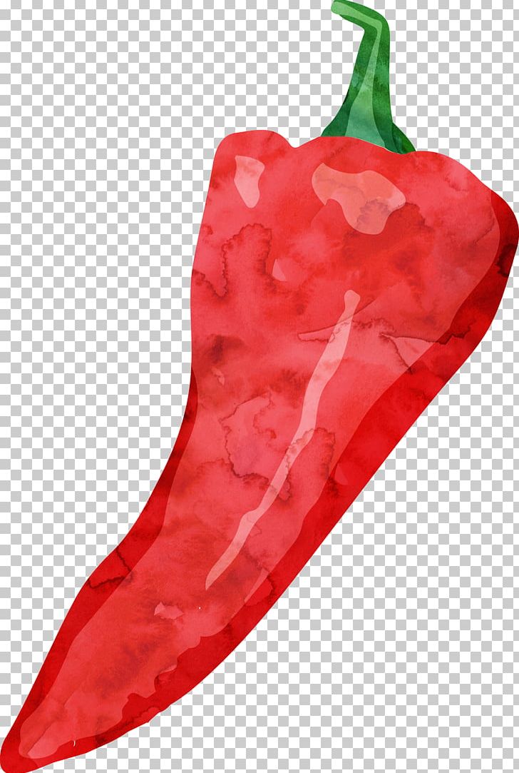 Tabasco Pepper Cayenne Pepper Drawing Watercolor Painting PNG, Clipart, Bell Peppers And Chili Peppers, Capsicum, Capsicum Annuum, Chili Pepper, Download Free PNG Download