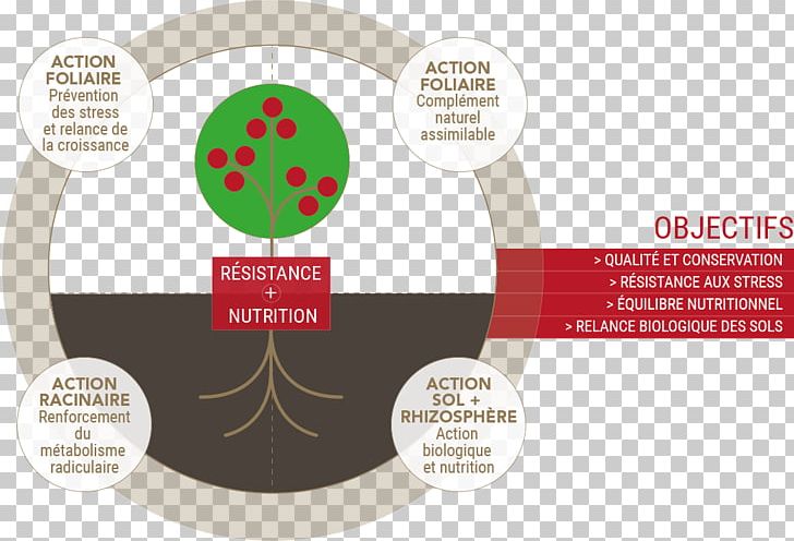 Brand Product Design Diagram PNG, Clipart, Brand, Diagram, Label Free PNG Download