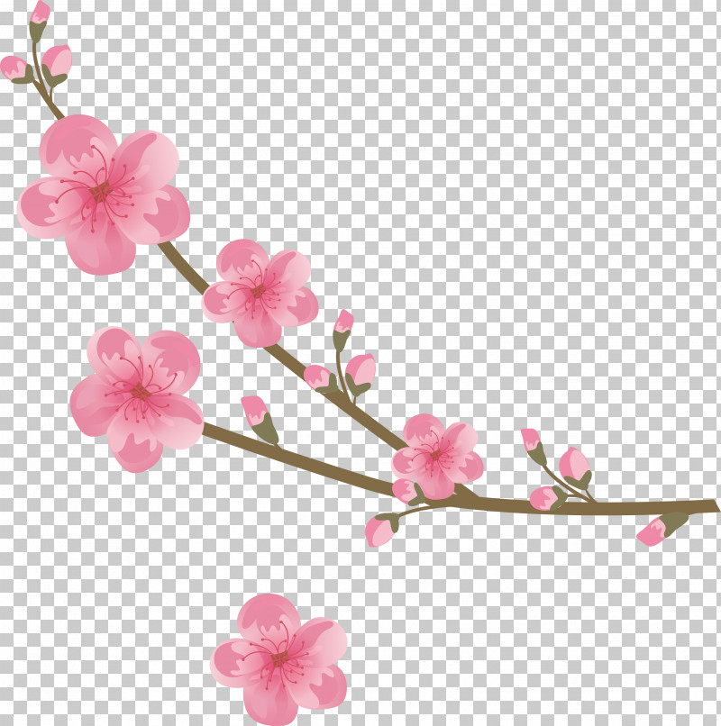 Flowers Floral PNG, Clipart, Artificial Flower, Blossom, Branch, Cherry Blossom, Floral Free PNG Download