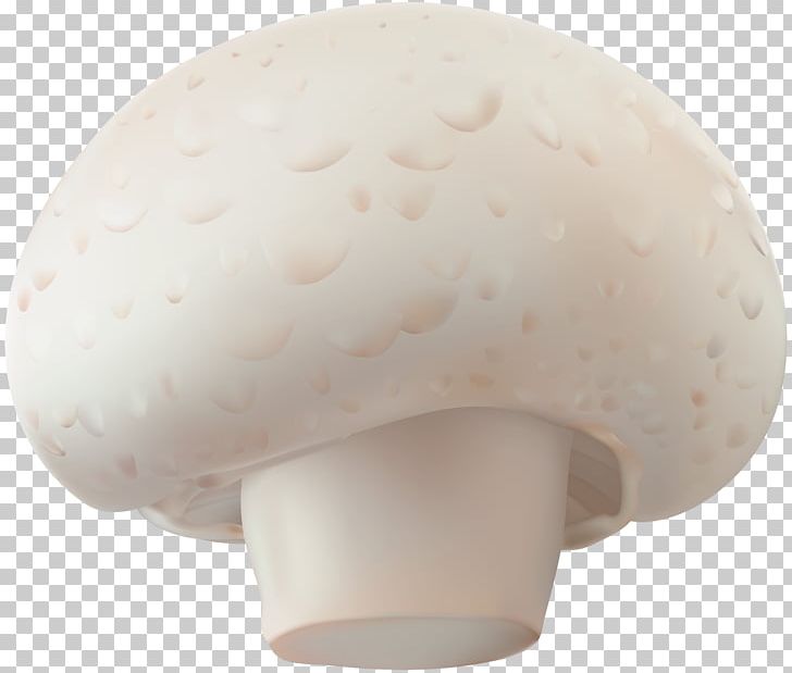 P.N.03 Common Mushroom PNG, Clipart, Agaricaceae, Agaricomycetes, Agaricus, Bronze Medal, Candle Free PNG Download
