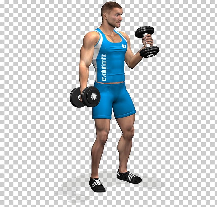 Weight Training Biceps Curl Dumbbell Exercise PNG, Clipart, Abdomen, Arm, Bodybuilder, Boxing Glove, Exercise Free PNG Download