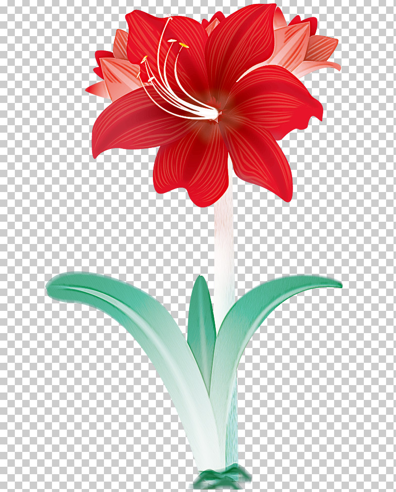 Lily Flower Floral PNG, Clipart, Amaryllis, Artificial Flower, Blue Rose, Cut Flowers, Floral Free PNG Download