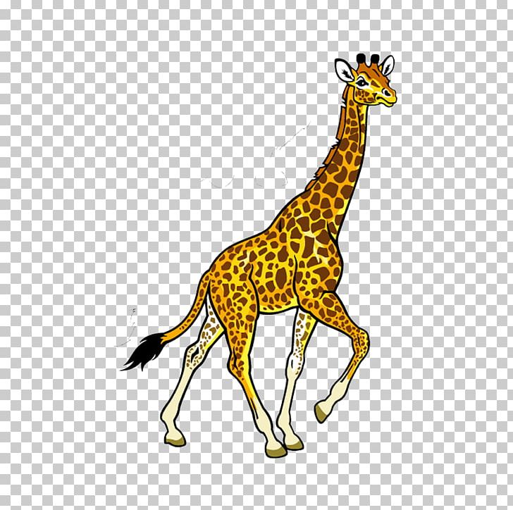 Fauna Of Africa Baby Jungle Animals PNG, Clipart, Animal, Animals, Baby Jungle Animals, Cartoon, Cartoon Giraffe Free PNG Download
