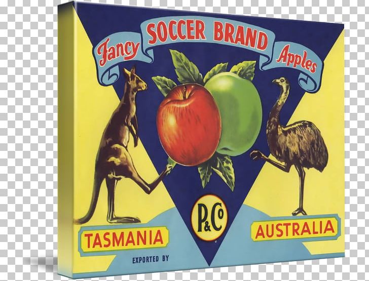 Mixed Media Work Of Art Australia National Football Team Fine Art PNG, Clipart, Advertising, Art, Australia National Football Team, Cardboard, Collage Free PNG Download