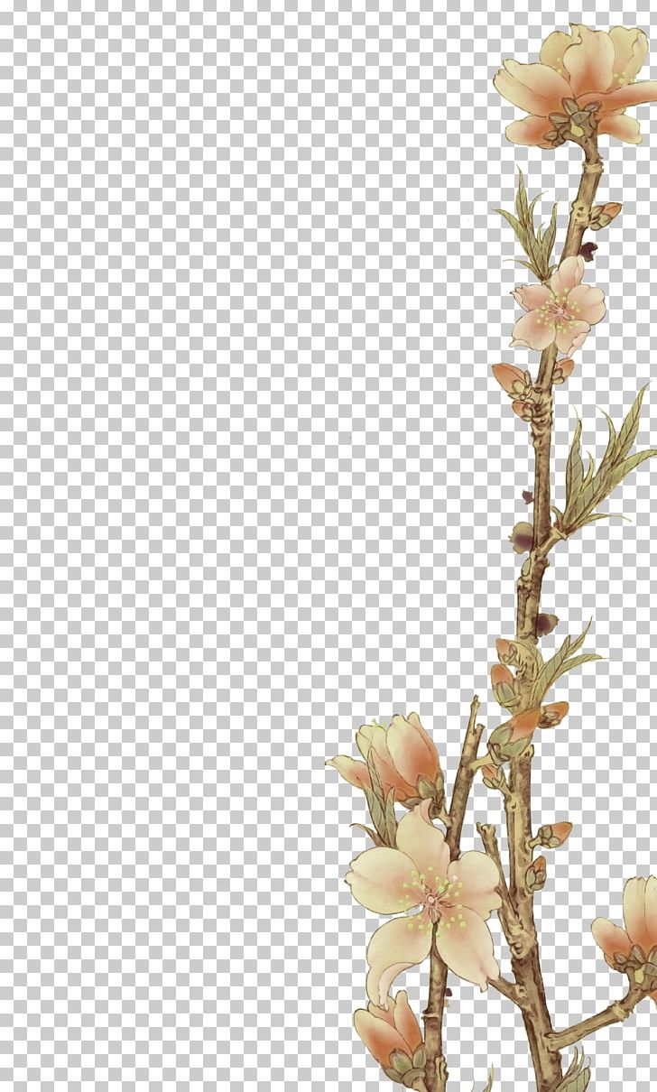Flower PNG, Clipart, Adobe Illustrator, Antiquity, Blossom, Branch, Bud Free PNG Download
