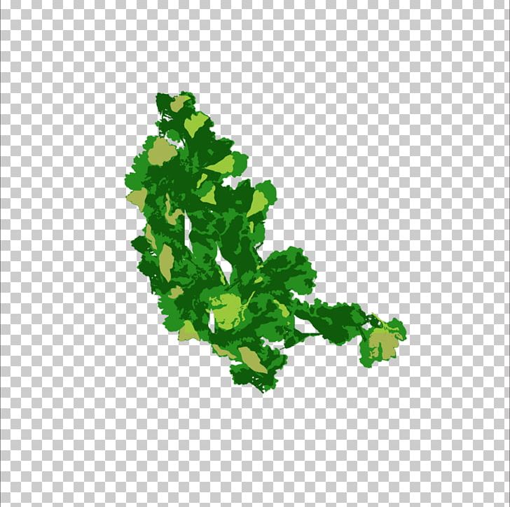 Leaf Green Condiment PNG, Clipart, Autumn Leaf, Condiment, Data, Data Compression, Download Free PNG Download