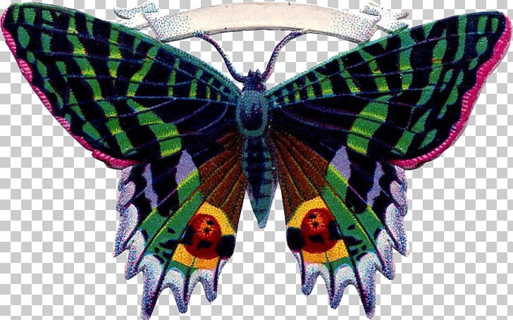 Monarch Butterfly Moth PNG, Clipart, Arthropod, Brush Footed Butterfly, Butterflies And Moths, Butterfly, Butterfly Vintage Free PNG Download
