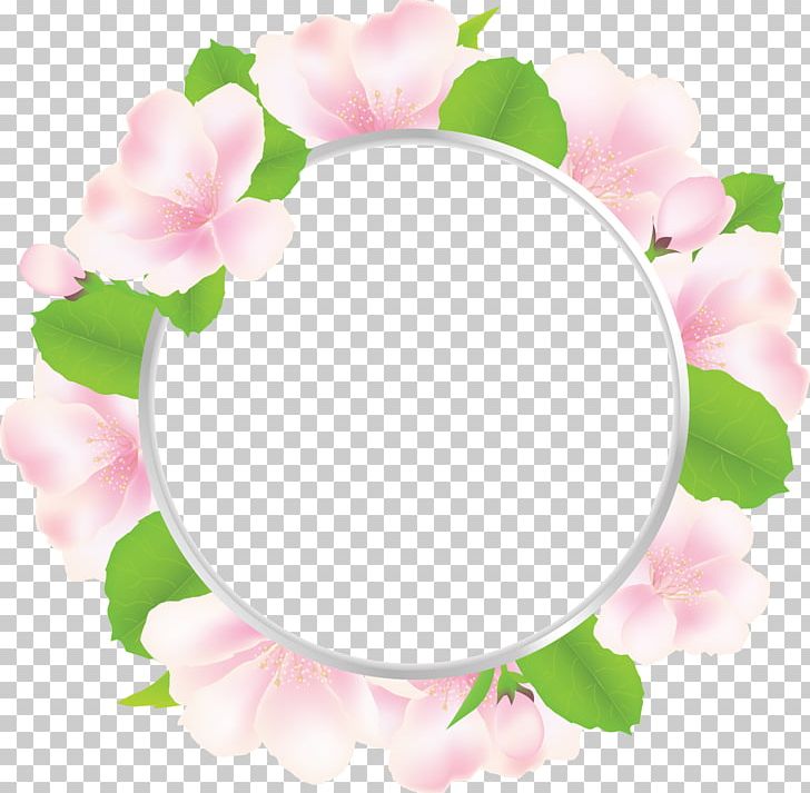 Petal Floral Design Rosaceae Frames Rose PNG, Clipart, Blossom, Floral Design, Flower, Flowering Plant, Flowers Free PNG Download