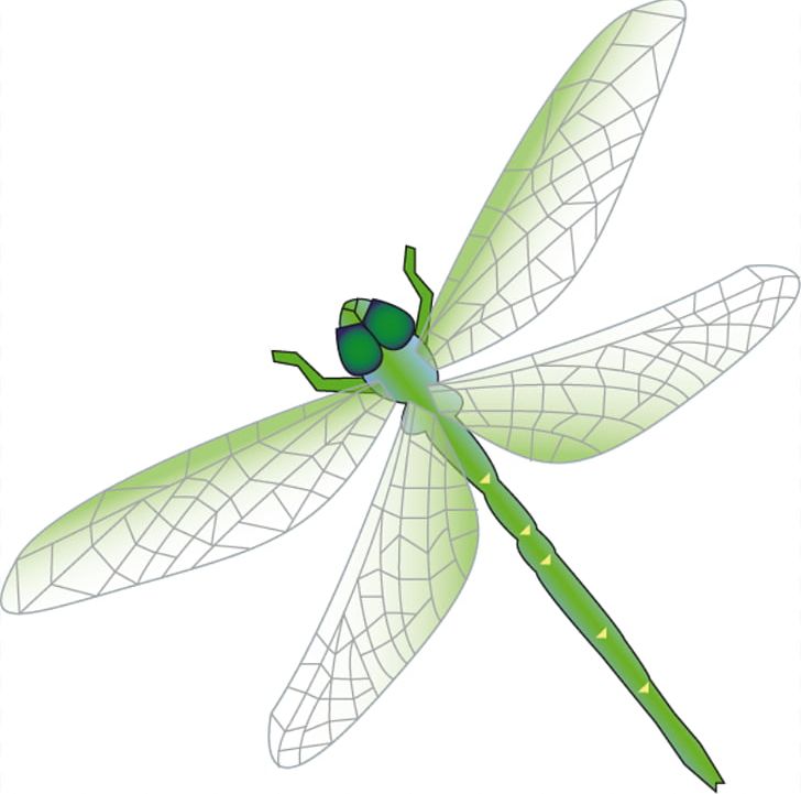Dragonfly PNG, Clipart, Arthropod, Computer Icons, Dragonflies And Damseflies, Dragonfly, Drawing Free PNG Download