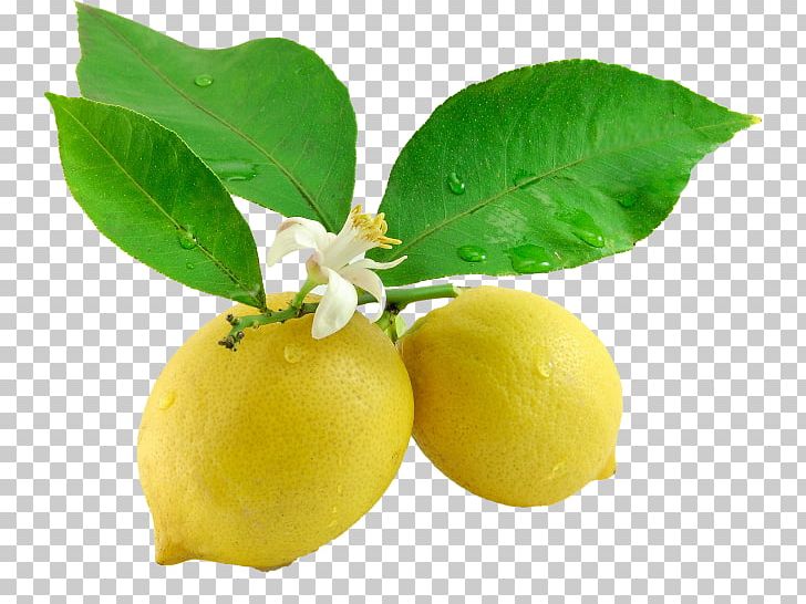 Lemon Juice Leaf Flower Tangerine PNG, Clipart, Aloysia Citrodora, Bitter Orange, Blossom, Calamondin, Citric Acid Free PNG Download