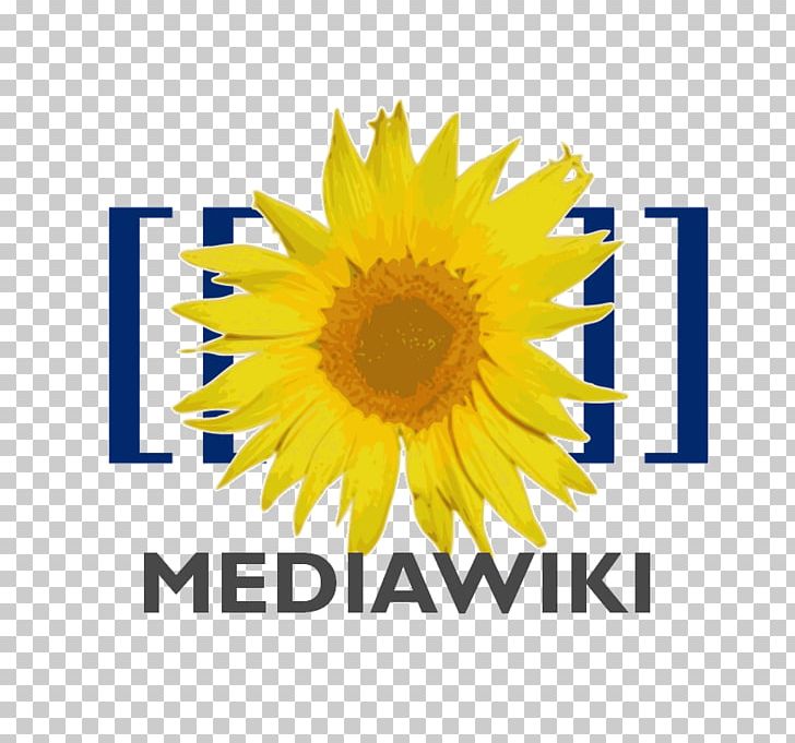 MediaWiki XAMPP Wiki Software Wikimedia Foundation PNG, Clipart, Brand, Content Management System, Cut Flowers, Daisy Family, Docker Free PNG Download