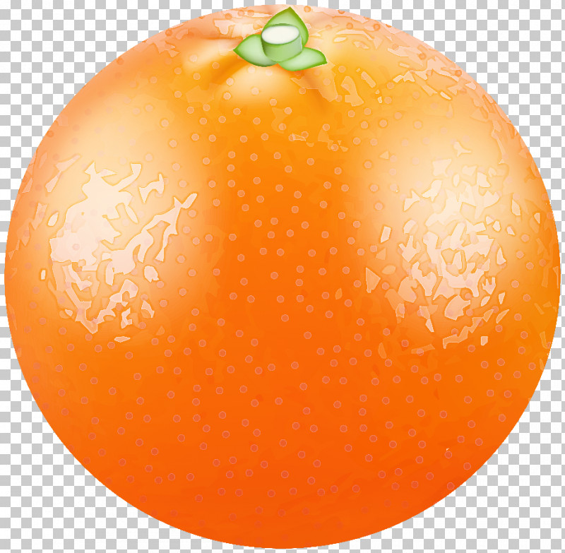 Orange PNG, Clipart, Apple, Grapefruit, Natural Food, Orange, Tangelo Free PNG Download