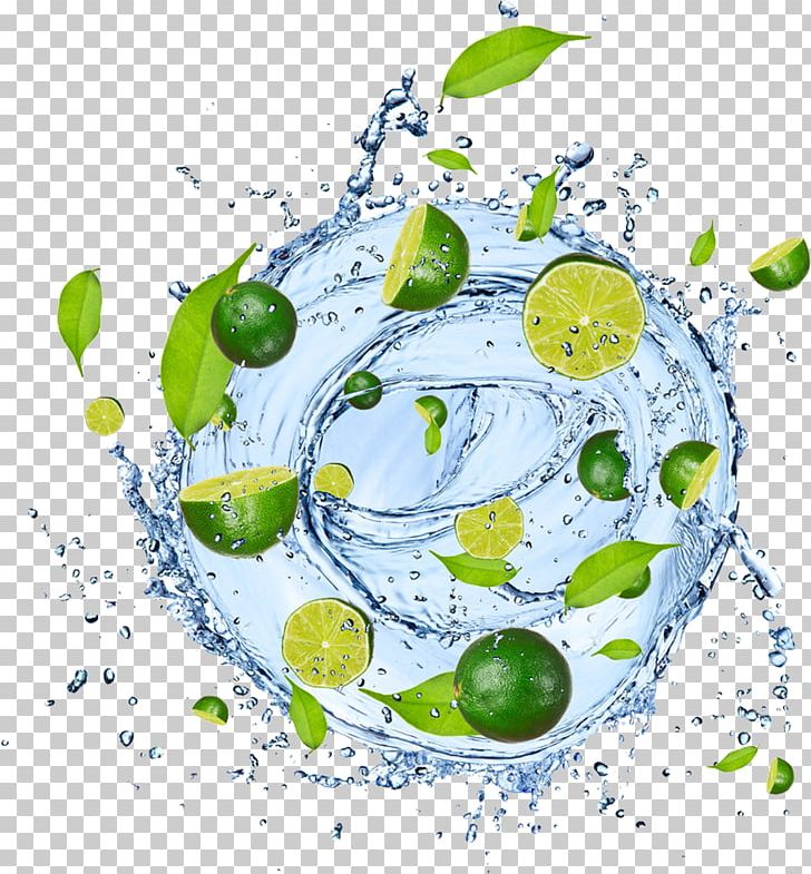 Fruit Salad Lemon Tangerine Vegetable Lime PNG, Clipart, Circle, Element, Fruit, Fruit Nut, Fruits Free PNG Download