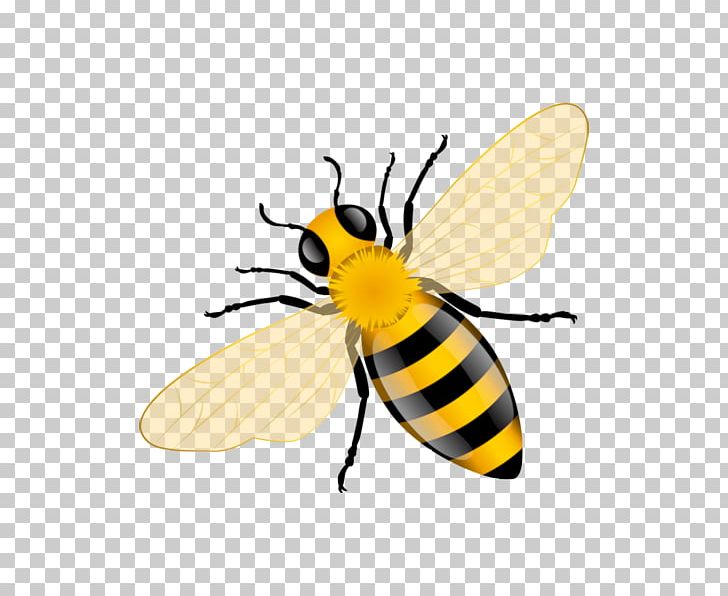 Western Honey Bee Insect PNG, Clipart, Arthropod, Bee, Beehive, Beekeeping, Bumblebee Free PNG Download