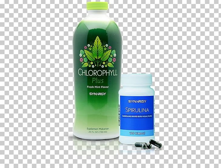 Detoxification Dietary Supplement Chlorophyll Nutrition Health PNG, Clipart, Bile, Body, Cell, Chlorophyll, Detoxification Free PNG Download