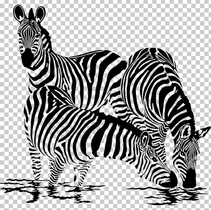Drawing Graphics Illustration PNG, Clipart, Animals, Big Cats, Black And White, Carnivoran, Drawing Free PNG Download