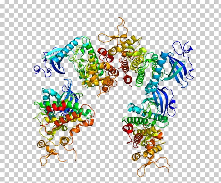 DYRK1A Dual-specificity Kinase Protein Gene PNG, Clipart, Art, Autophosphorylation, Body Jewelry, Chromosome 21, Dual Free PNG Download