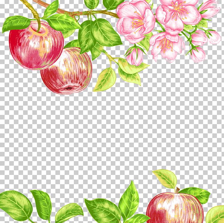 Photography Illustration PNG, Clipart, Apple Fruit, Apple Logo, Apples, Apple Tree, Apple Vector Free PNG Download