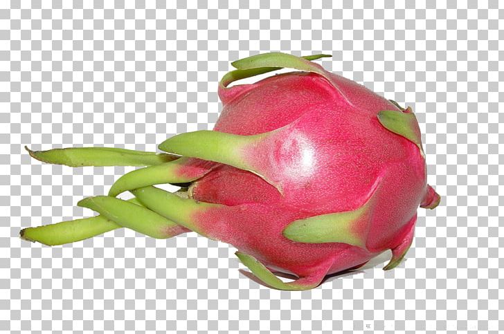 Pitaya Auglis Food PNG, Clipart, Apple Fruit, Auglis, Delicious, Download, Dragon Free PNG Download