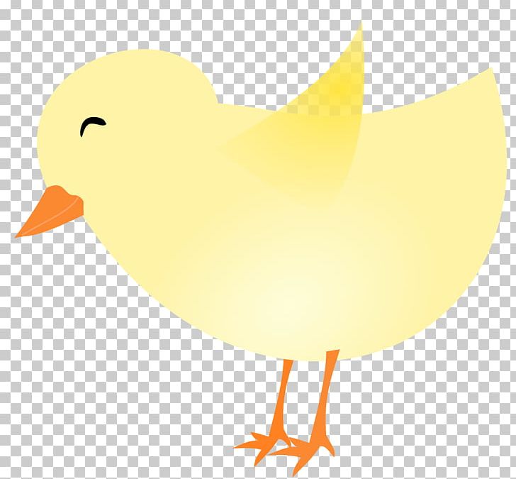 Chicken Drawing PNG, Clipart, Animals, Beak, Bird, Chicken, Computer Wallpaper Free PNG Download