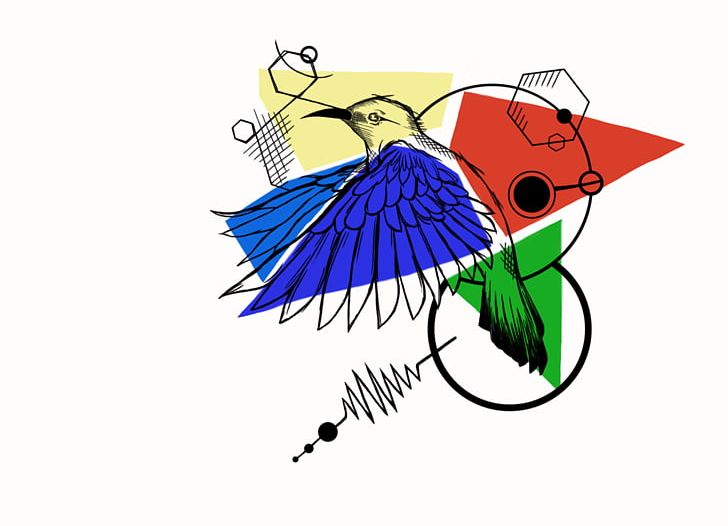 Hummingbird Wing PNG, Clipart, Art, Bird, Clip Art, Drawing, Dribbble Free PNG Download