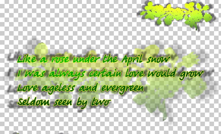 Tree Green Line Font PNG, Clipart, Flora, Grass, Green, Leaf, Line Free PNG Download