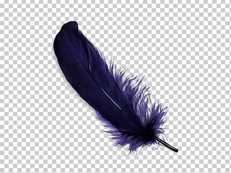 Feather PNG, Clipart, Costume Accessory, Feather, Fur, Pen, Purple Free PNG Download