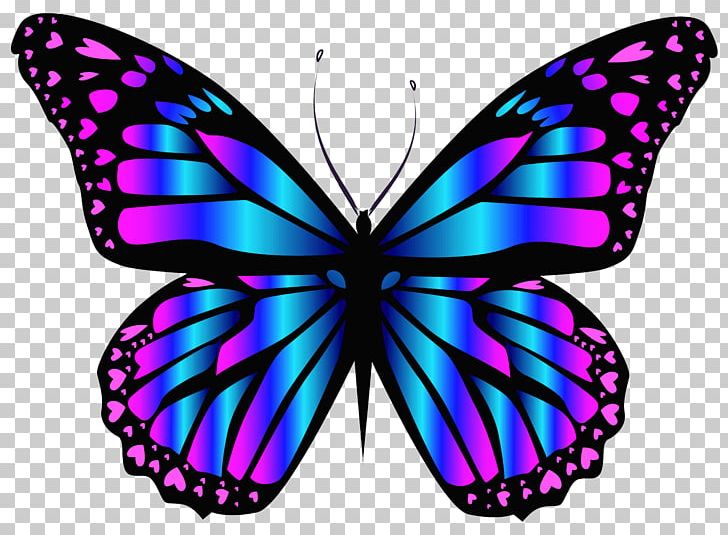 Butterfly Blue PNG, Clipart, Blue, Brightness, Brush Footed Butterfly, Butterfly, Color Free PNG Download