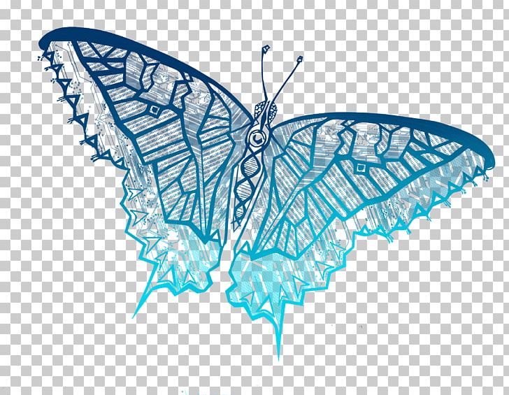 Butterfly Graphic Design PNG, Clipart, Art, Arthropod, Brush Footed Butterfly, Butterflies And Moths, Butterfly Free PNG Download
