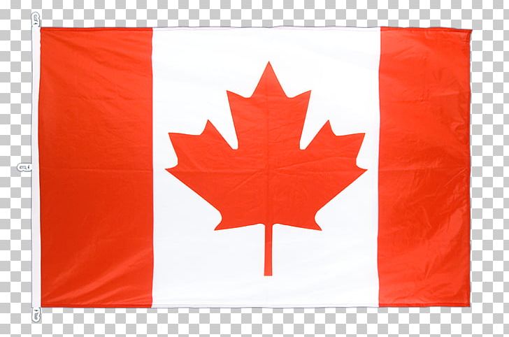 National Flag Of Canada Day Maple Leaf PNG, Clipart, Canada, Canada Day, Canada Flag, Clothing, Flag Free PNG Download