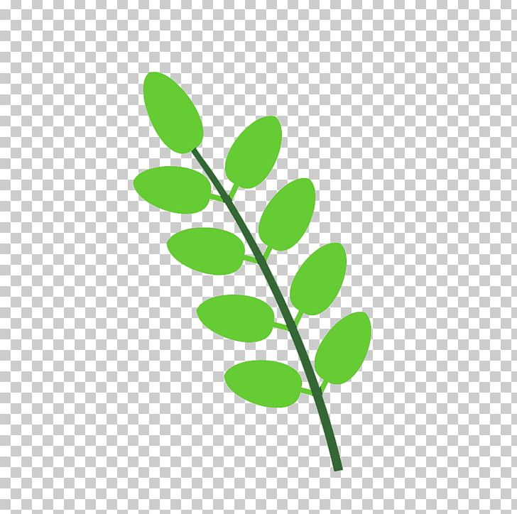 Plant Stem Leaf Line Branching PNG, Clipart, Branch, Branching, Flora, Grass, Green Free PNG Download