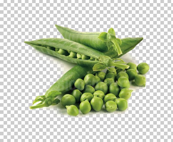 Snap Pea Heirloom Plant Seed Microgreen PNG, Clipart, Bean, Commodity, Edamame, Food, Fruit Free PNG Download