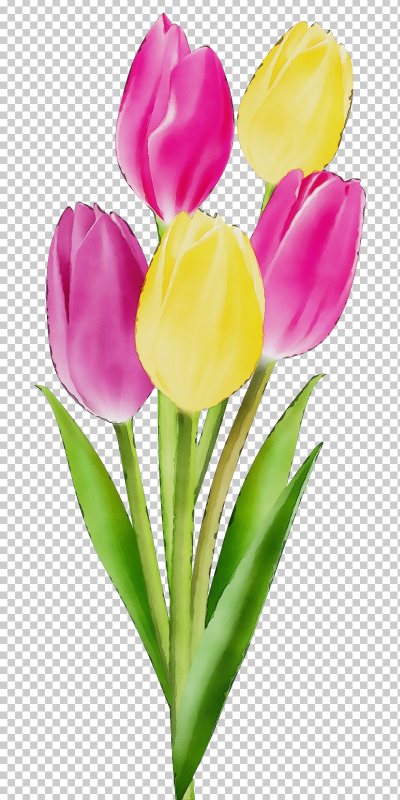 Artificial Flower PNG, Clipart, Artificial Flower, Bouquet, Bud, Closeup, Crocus Free PNG Download